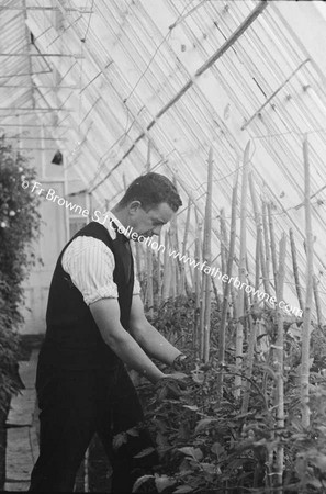 IN THE GARDEN BROTHER BARRY S.J. & JOHN TREACY